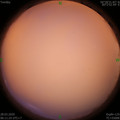 1585350708.jpg