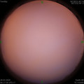 1585351068.jpg