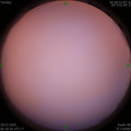 1585351128.jpg