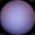 1585351383.jpg