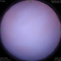 1585351563.jpg