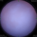 1585351623.jpg