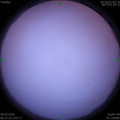 1585351683.jpg