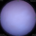 1585351743.jpg