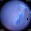 1585402498.jpg