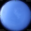 1585438501.jpg