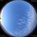 1585443558.jpg