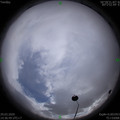 1585467420.jpg