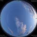 1585484904.jpg