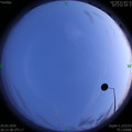 1585487515.jpg