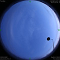 1585488250.jpg
