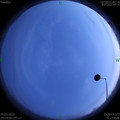1585488310.jpg