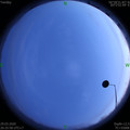 1585488371.jpg