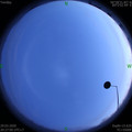 1585488431.jpg
