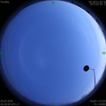 1585488491.jpg