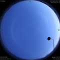 1585488566.jpg