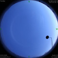 1585488626.jpg