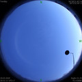 1585488686.jpg
