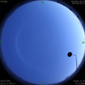 1585488746.jpg