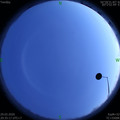1585488926.jpg