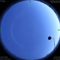 1585489061.jpg