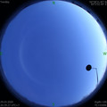 1585489181.jpg