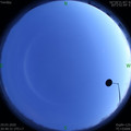 1585489256.jpg