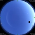 1585489631.jpg