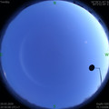 1585489826.jpg