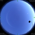 1585489916.jpg