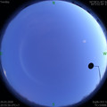 1585490186.jpg