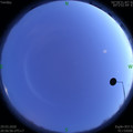 1585490246.jpg