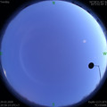 1585490321.jpg