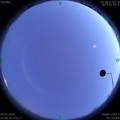 1585490472.jpg