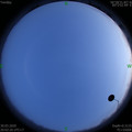 1585573366.jpg
