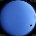 1585574716.jpg