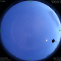 1585576157.jpg