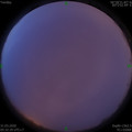 1585607582.jpg