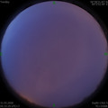 1585607642.jpg