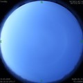 1585609833.jpg