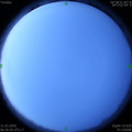 1585610464.jpg