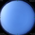 1585611334.jpg