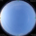 1585613720.jpg
