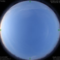 1585613780.jpg