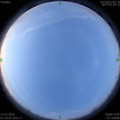 1585614020.jpg