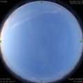 1585614140.jpg