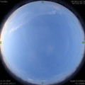 1585614261.jpg