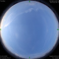 1585614501.jpg