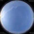 1585614771.jpg