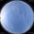 1585615551.jpg